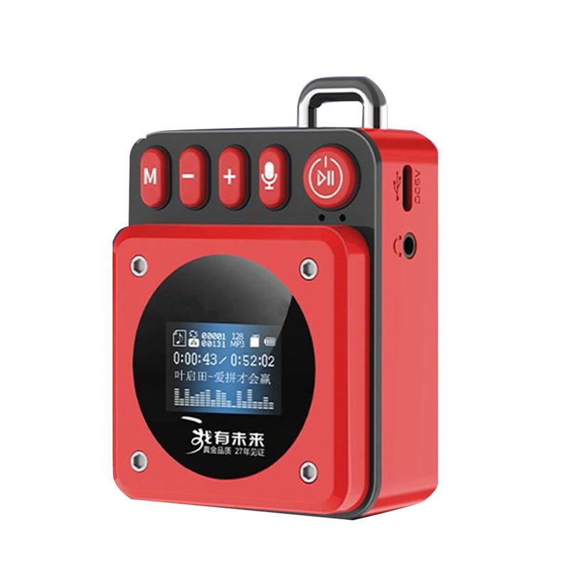 RISE-MP3 Music Player Recorder - Audio Music Lyrics review and price